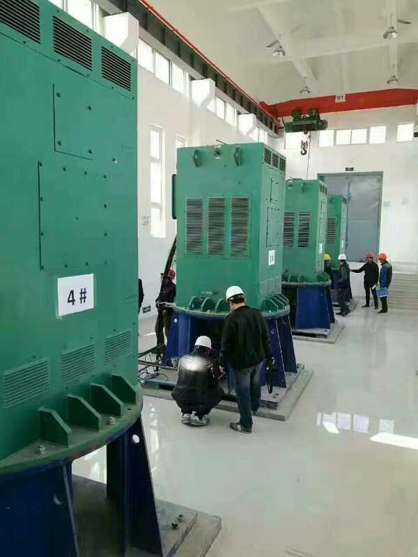 延川某污水处理厂使用我厂的立式高压电机安装现场