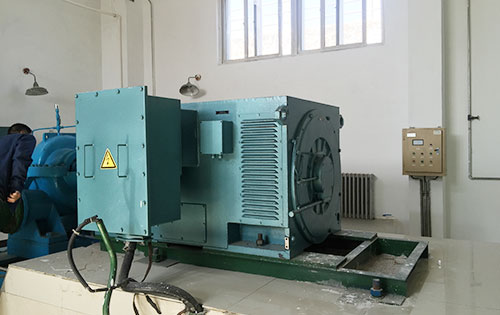 延川某水电站工程主水泵使用我公司高压电机